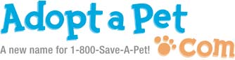adoptable cats and dogs