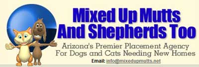 Mixed Up Mutts Arizona animal rescue