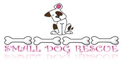 Arizona small dog rescue